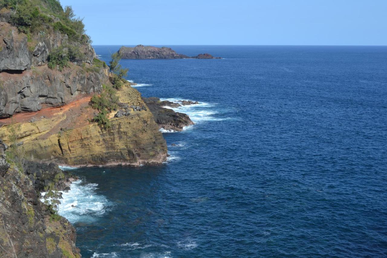 Villa Atypique Le Chat Perche De Grand Anse Petite Île Buitenkant foto